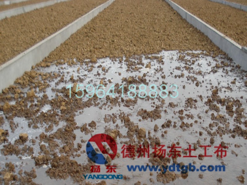 www.ydtgb.com
