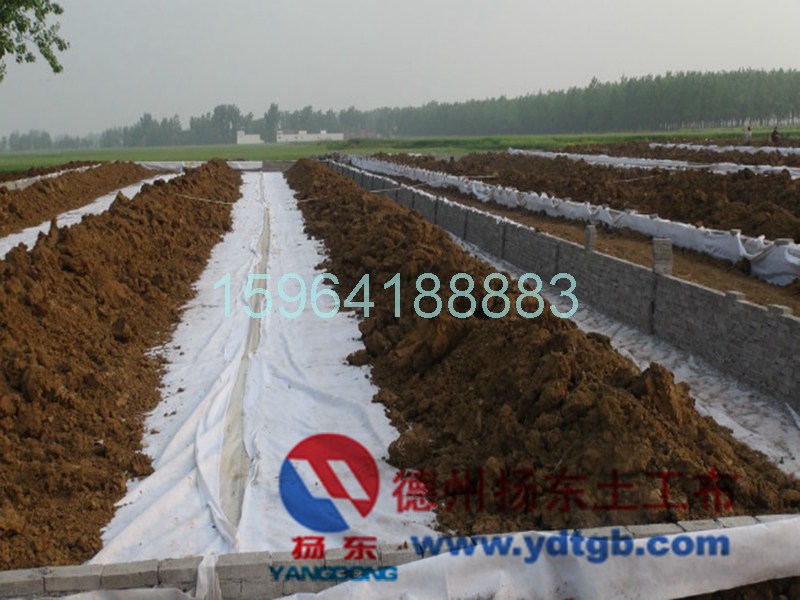 www.ydtgb.com