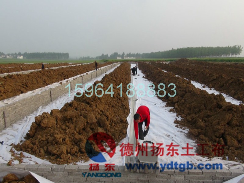www.ydtgb.com