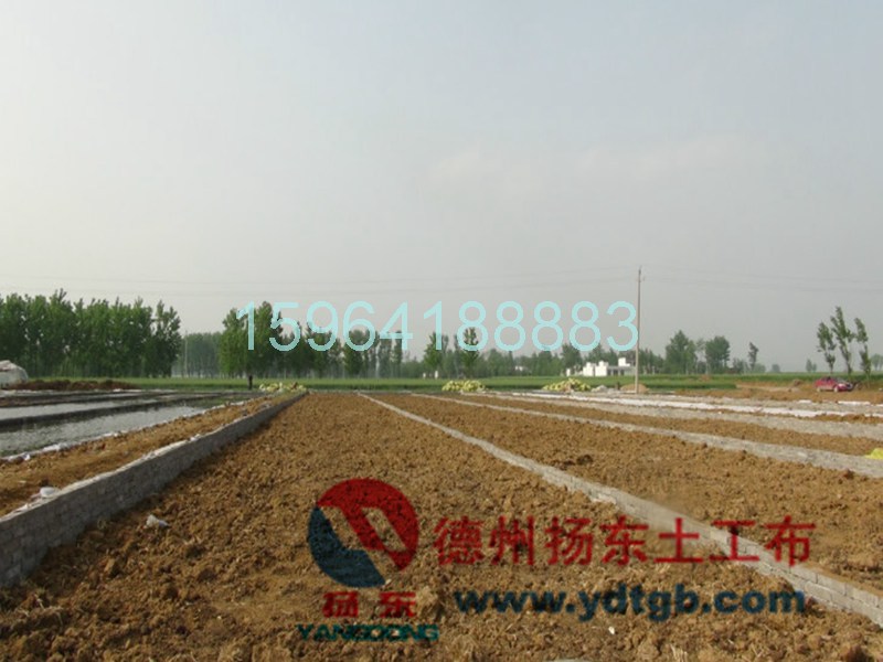 www.ydtgb.com