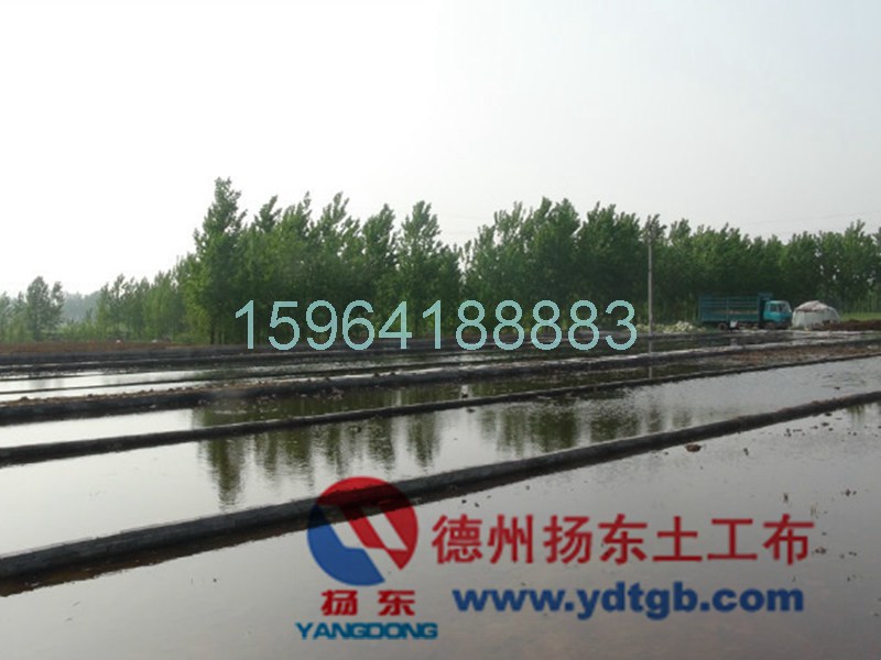 www.ydtgb.com