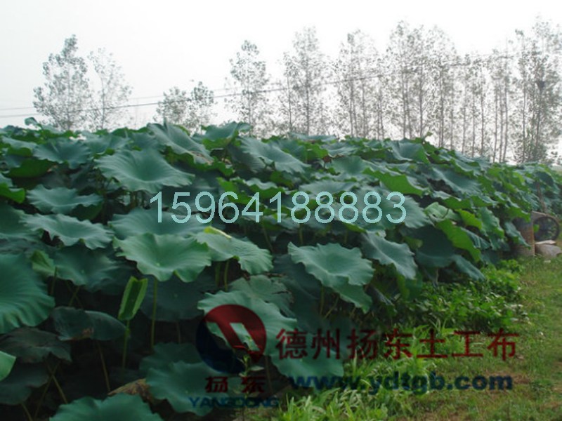 www.ydtgb.com