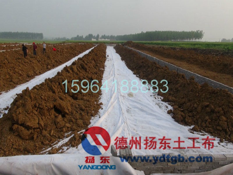 www.ydtgb.com